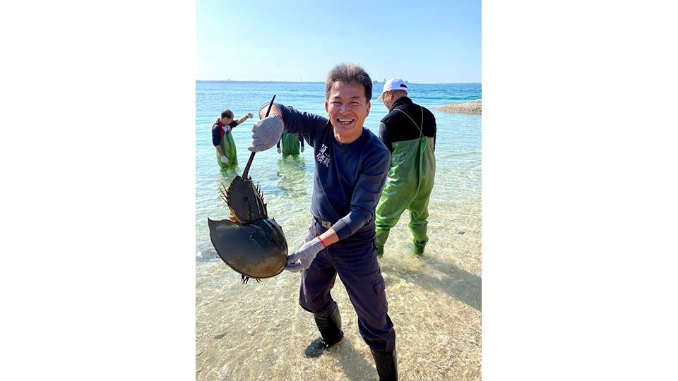 尖山電廠與水產試驗所合作進行9種海洋生物復育，並推動物種放流為海洋生態平衡貢獻己力，其中也包含有活化石美名的鱟。